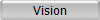 Vision